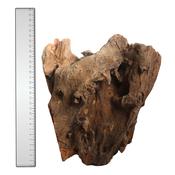 Corbo Root Stump Large image