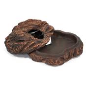 Betta Terra Medium Ceramic Snake Hide House