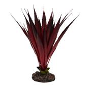 Betta Terra Red Phormium Plant 30cm