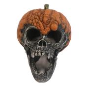 Betta Pumpkin Skull image