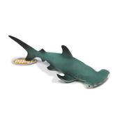 Betta Hammerhead Shark