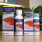 NT Labs Aquarium Anti Internal Bacteria 250ml image
