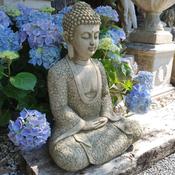 Lotus Robe Buddha BD44 image