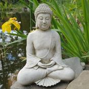 Budhha Tranquil 30cm BD33 image
