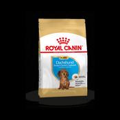 Royal Canin Dachshund Puppy Dry Dog Food 1.5kg image