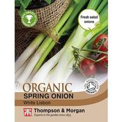 Spring Onion White Lisbon Orga