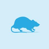 Monkfield Frozen Extra Large Rats image