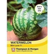 Watermelon Mini Love F1