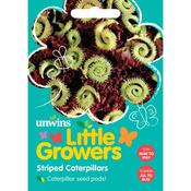 Little Growers Striped Caterpillars
