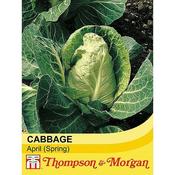 Cabbage 'April' (Spring)