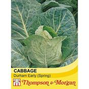 Cabbage 'Durham Early' (Spring)