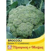 Broccoli 'Belstar' F1 Hybrid (Calabrese)