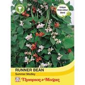 Runner Bean Summer Medley