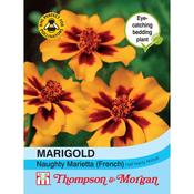 Marigold Naughty Marietta French image