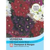 Verbena T&amp;M Dwarf Jewels Mix