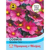Cosmos Versailles Tetra