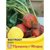 Beet 'Boldor'