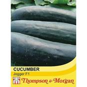 Cucumber Jogger