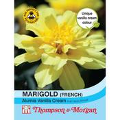 Marigold Alumia Vanilla Cream