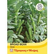 Broad Bean 'Oscar'