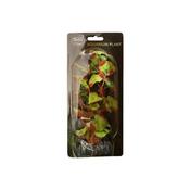 Betta Choice 20cm Silk Red-Edged Hydrocotle image