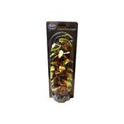 Betta Choice 30cm Silk Red-Edged Hydrocoytle image
