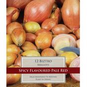 Biztro Shallots