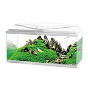 Ciano Aquarium Aqua 80 In White With LED Lights &amp; White Lid 71 Litre