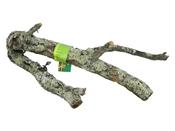Cork Branch 40-60cm image