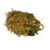 HabiStat Sphagnum Moss 1kg