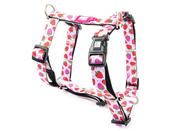 Max and Molly H Harness Strawberru XS image
