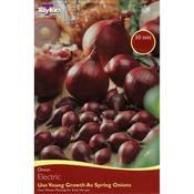 Onion Electric  (50 Bulbs Per Pack) image