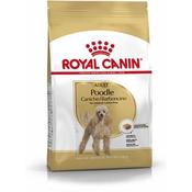 Royal Canin Poodle Adult Dry Dog Food 1.5kg image