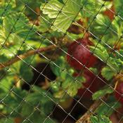Grow It Crop &amp; Pond Netting 4x2m