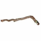 Prorep Cork Oak Branch 80-100cm image