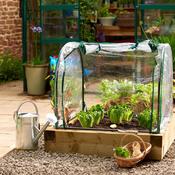 Grow It Medium Seedling Cloche 90x92x72cm