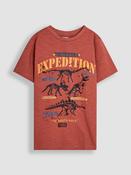 JoJo Maman Bébé Rust Dino Graphic Print T-Shirt