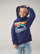 Superdry Navy Mix Hoodie
