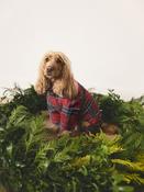 Red Tartan Red Tartan Matching Family Christmas Pet Pyjamas