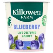 Killowen Yoghurt - Blueberry — Office Fruit Delivery Dublin  |  NudieFoods