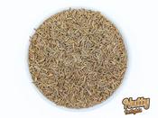 Egyptian Caraway Seeds - 25kg