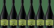 Montelvini Promosso Frizzante - 6 Bottle Case