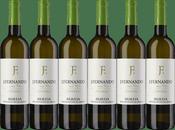 J. Fernando Rueda 6 Bottle Case