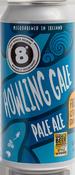 Eight Degrees Howling Gale 44cl Can