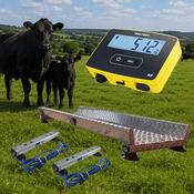 S3 Weigh Scale Package image