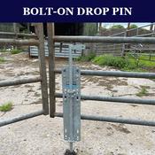 Jones Norah Not Too Late Pvg : Jones, Norah