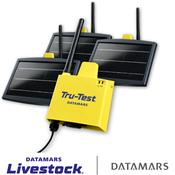 TruTest Fence Monitoring