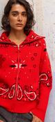 Red Paisley Knit
