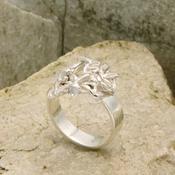 Unfolding Silver Ring image
