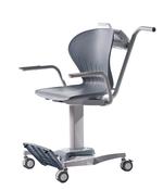 Electric Chair Scale (Steiss CS300) image